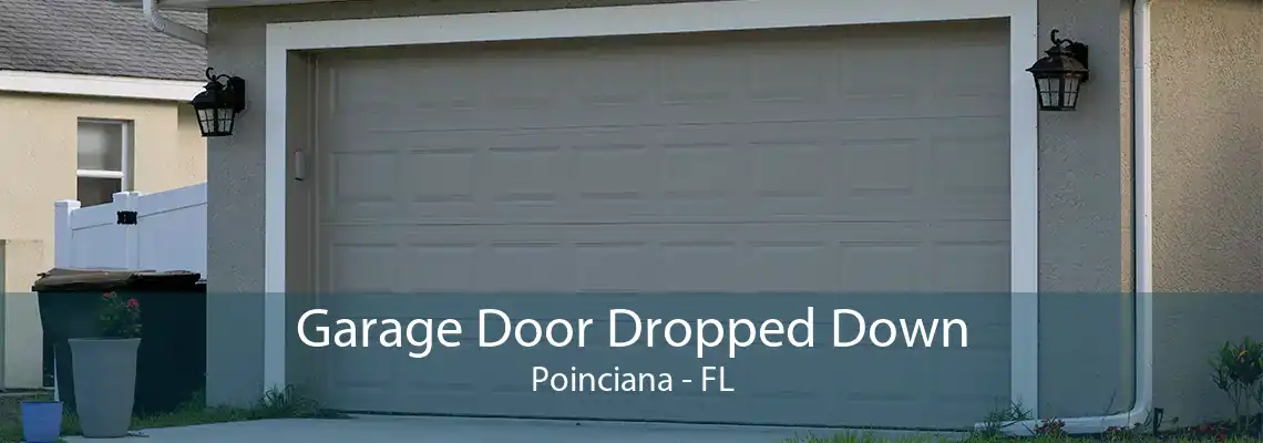 Garage Door Dropped Down Poinciana - FL